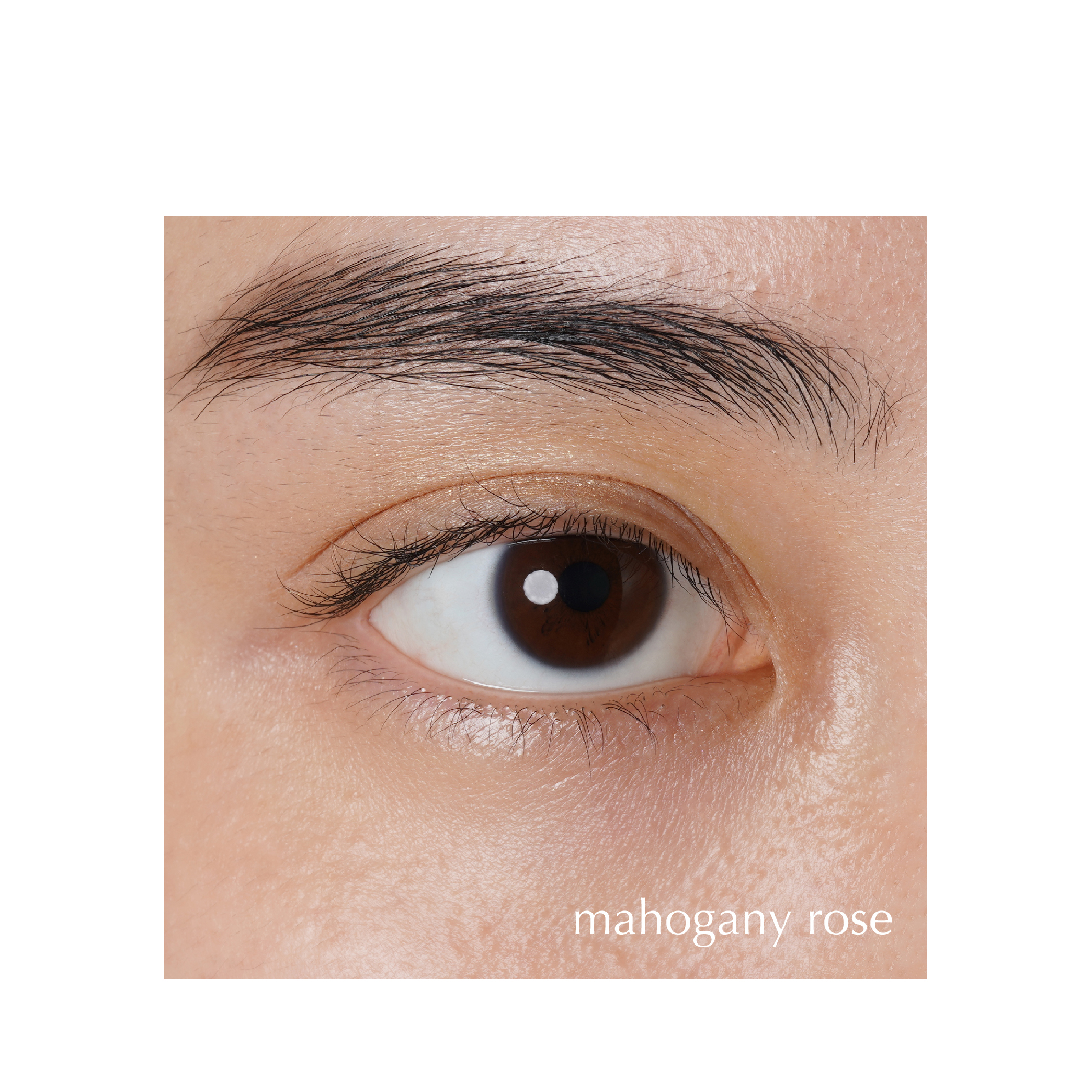 item85fff3b2039e11efb4a90242ac