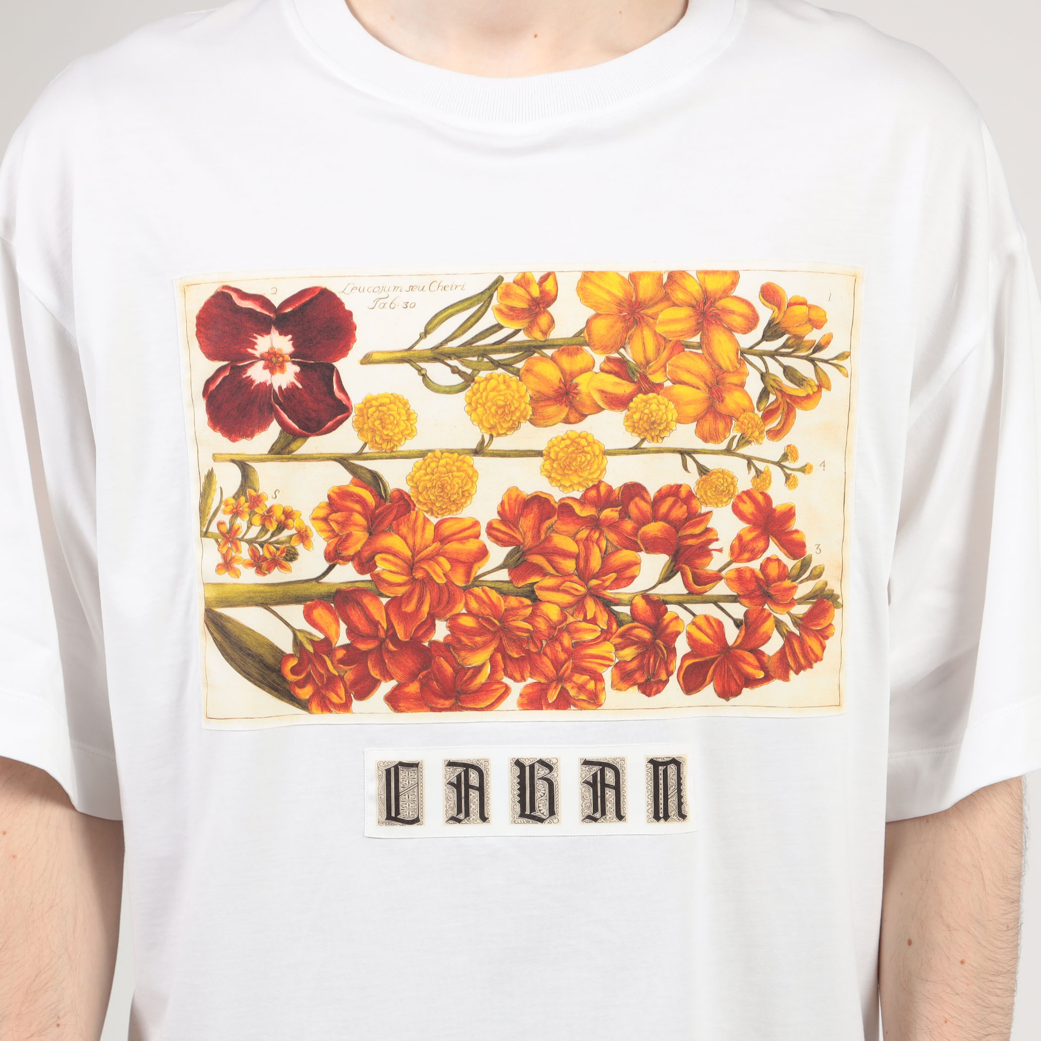 CABaN スビンコットン パレルモプリントTシャツ｜トゥモローランド