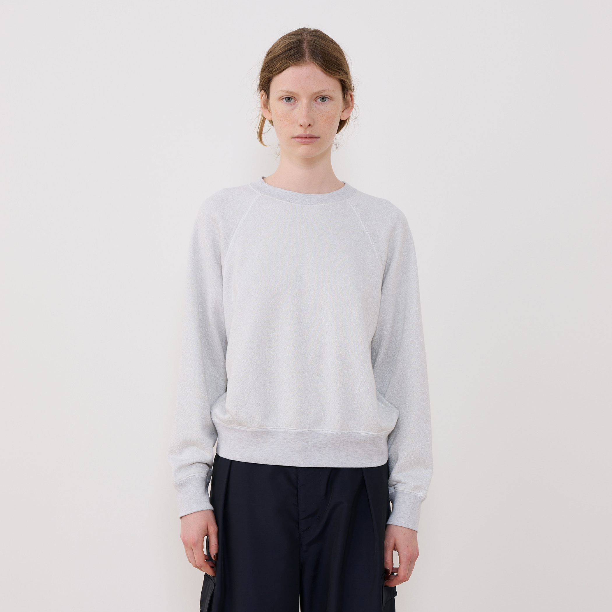 VAN ラグランスリーブ トレーナー 10.0オンス ラグランスリーブ クルーネック スウェット（裏パイル