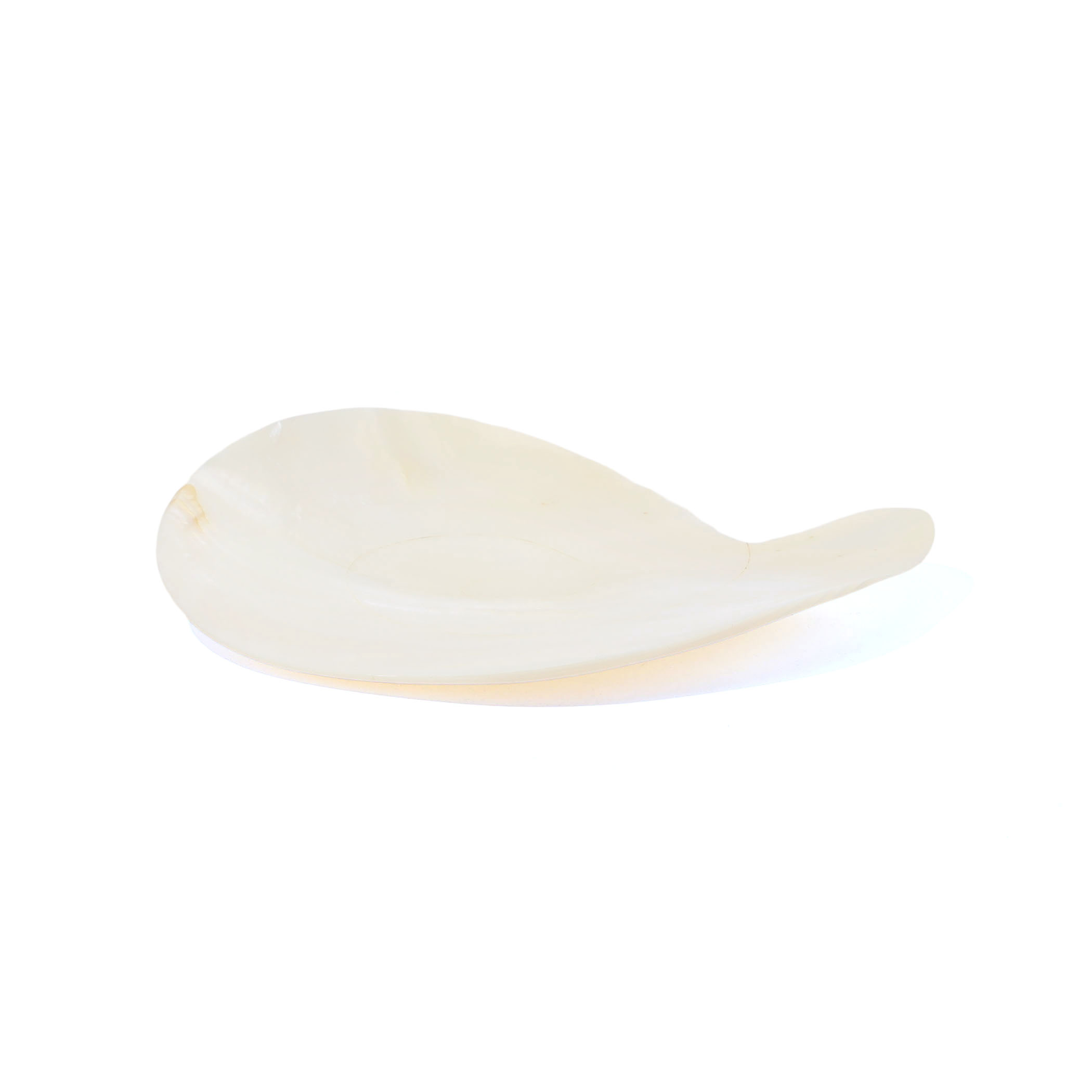 Gohar World NAUTILUS DISH