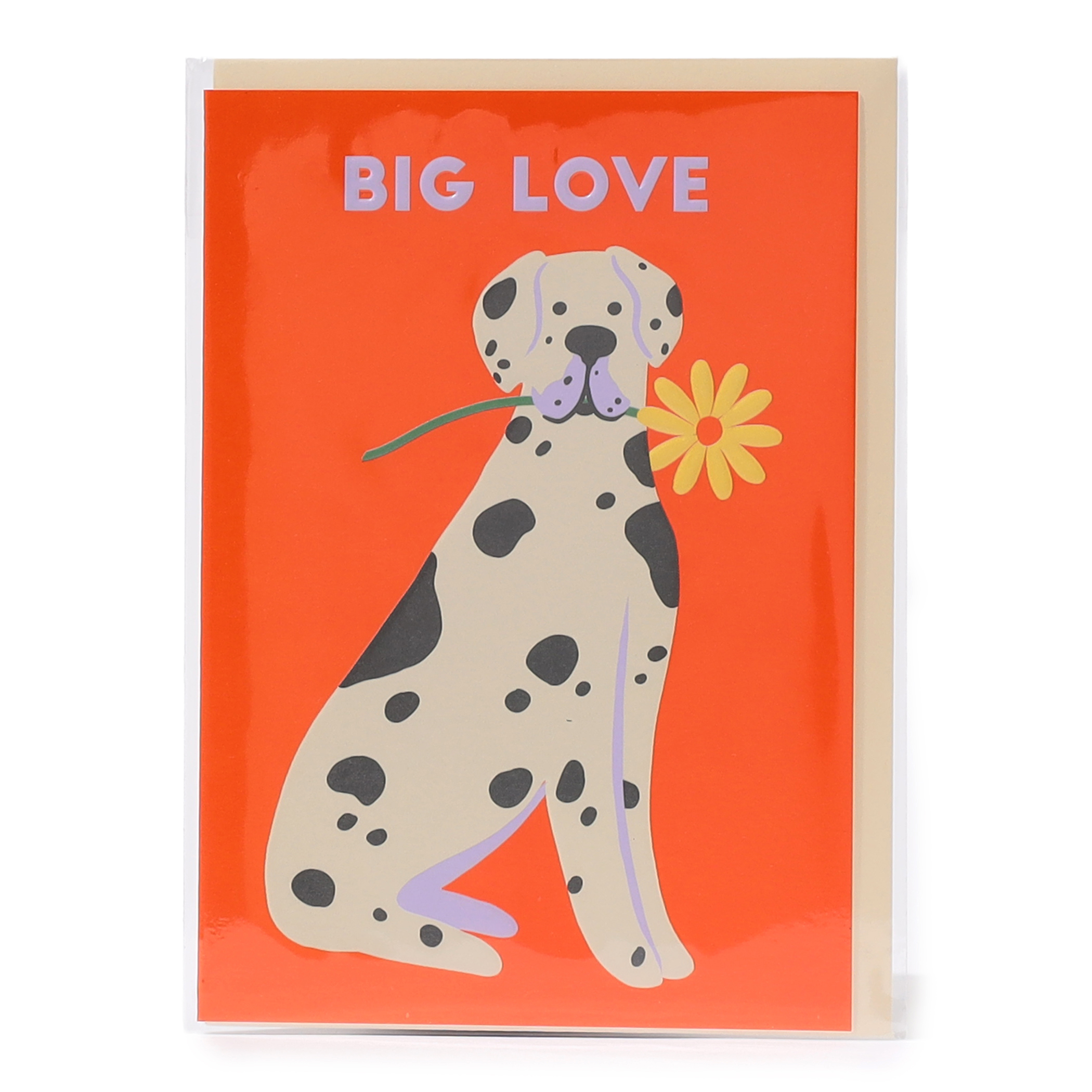 KlangundKleid.de GmbH BIG LOVE