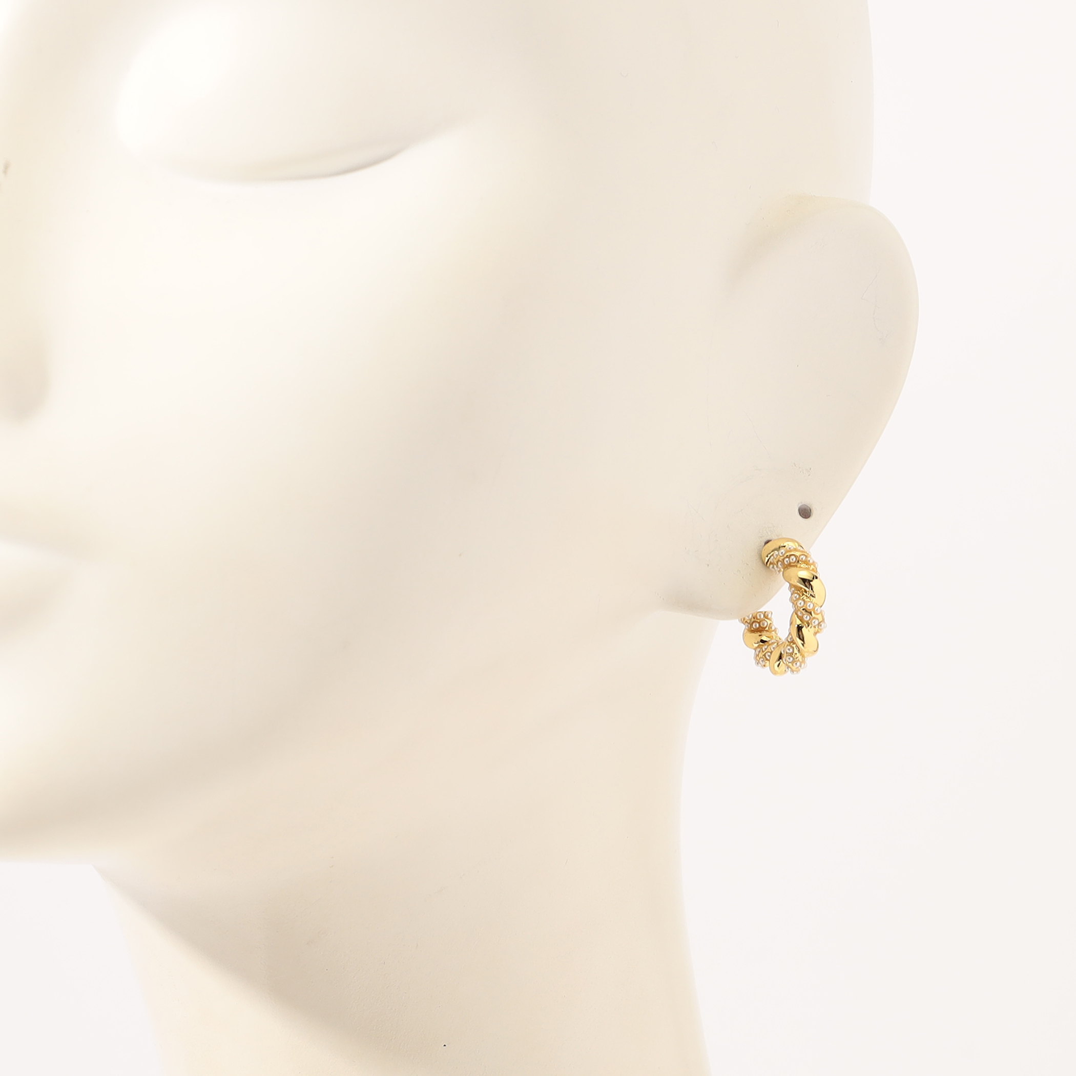 【0309-②】ピアス アバロン 両面カービング 0309-②】ピアス アバロン 両面カービング